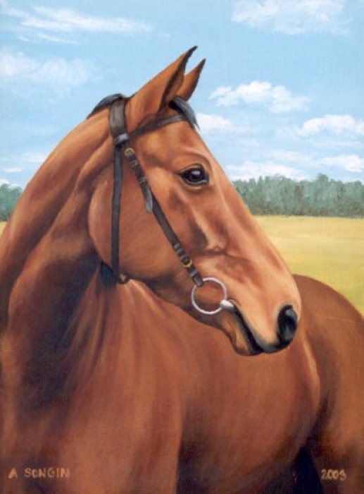 Portret konia Arosa