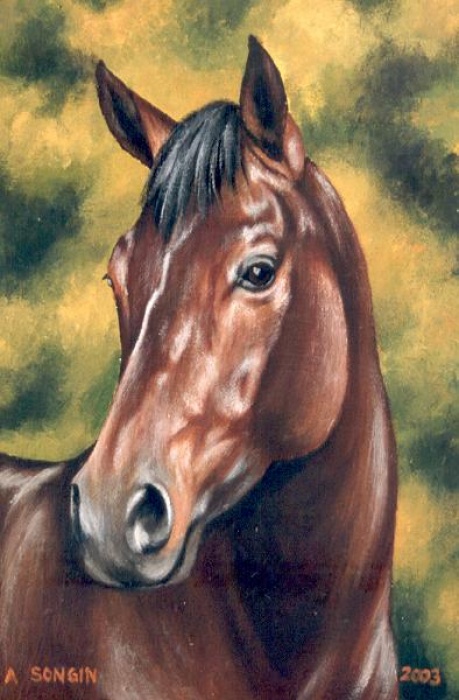 Portret konia 2
