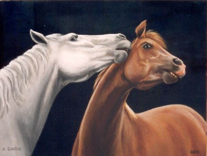 Dwa konie 1