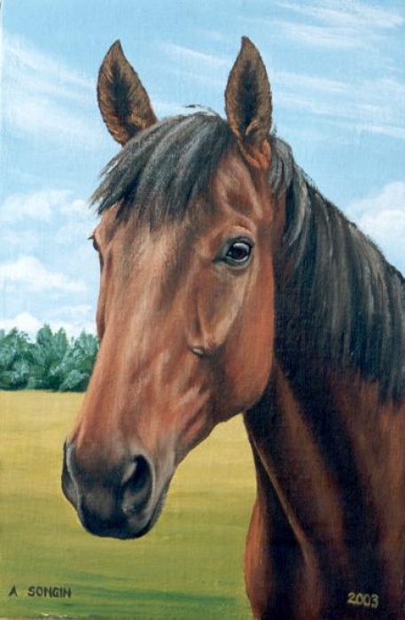 Portret konia Szyszka