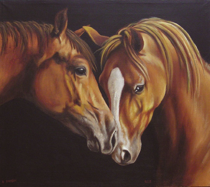 Dwa konie 3