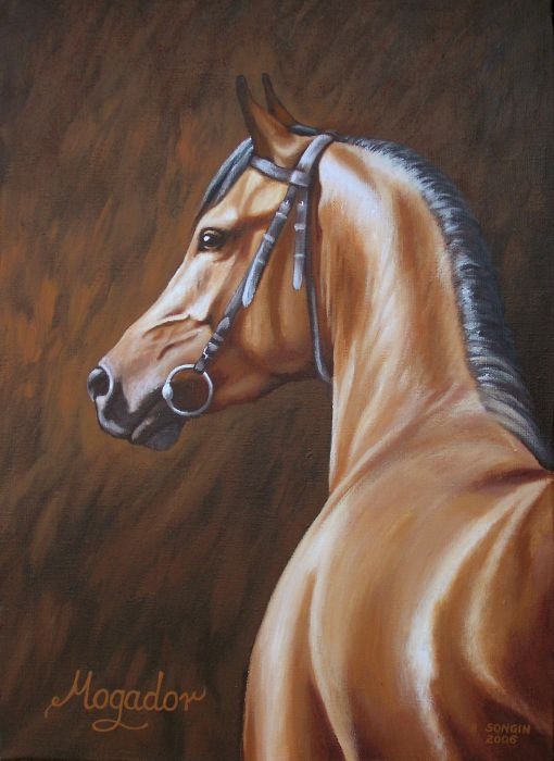 Portret konia Mogador