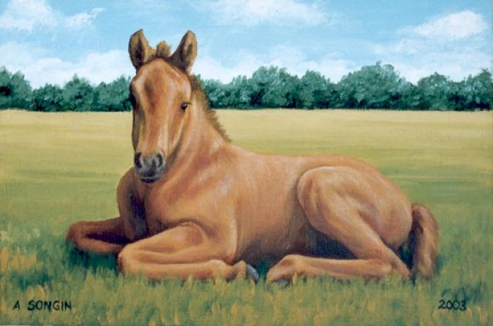 Źrebak