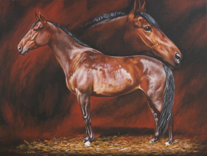 Portret konia