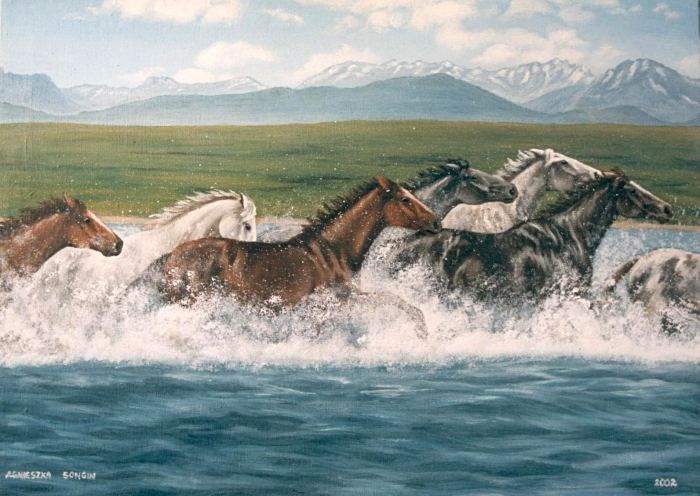 Konie w wodzie