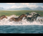 Konie w wodzie