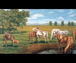 Konie przy wodopoju
