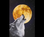 Wilk i pełnia księżyca