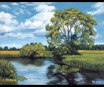 Widok